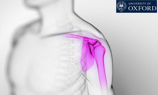 Ξεκινούν οι δοκιμές με τα διασπώμενα χειρουργικά εμφυτεύματα