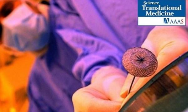 Πρωτοποριακή ιατρική κόλλα επιδιορθώνει την καρδιά