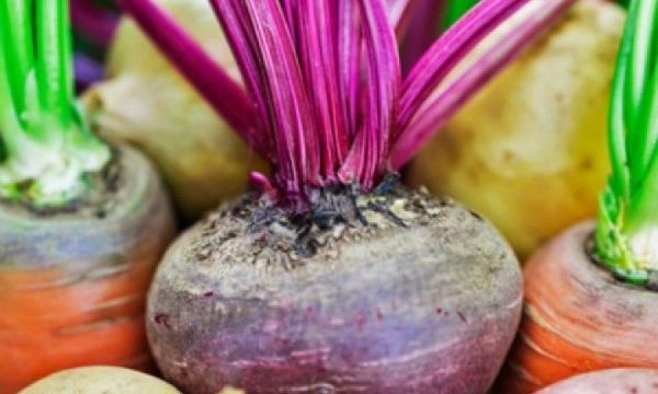 Οι ρίζες του χειμώνα και πώς να τις απολαύσεις