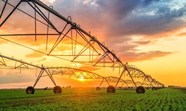 Science: Ασφαλή για κατανάλωση τα γενετικά τροποποιημένα τρόφιμα, αλλά θα πρέπει να ελέγχονται