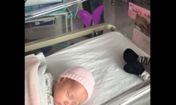 Προσοχή! Αν δείτε μωβ πεταλούδα κολλημένη σε μαιευτήριο σημαίνει πως…