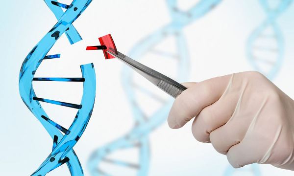 Η Ελληνίδα ερευνήτρια Ελευθερία Ζεγγίνη διευθύντρια του νέου Ινστιτούτου Γενετικής στο Μόναχο