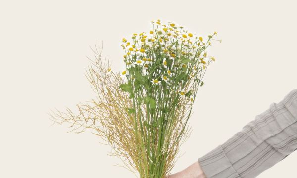 DIY μάσκα για λαμπερή επιδερμίδα με ένα φακελάκι χαμομήλι