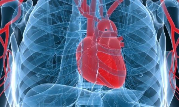 Η ενδοσκοπική αντιμετώπιση των βαλβιδοπαθειών της μιτροειδούς και τριγλώχινας βαλβίδας