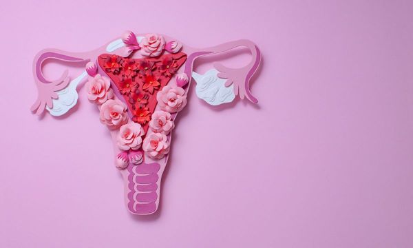 Τι είναι και πώς γίνεται η διέγερση ωοθηκών