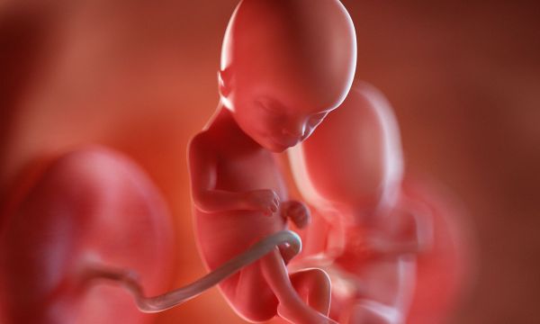 Εμφύτευση ανθρώπινου εμβρύου καταγράφηκε σε πραγματικό χρόνο για πρώτη φορά [βίντεο]