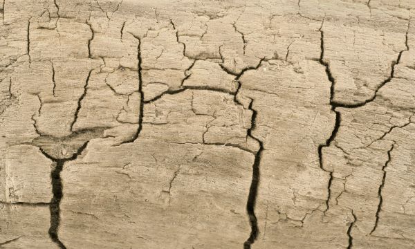 Είναι έκζεμα ή ψωρίαση; Πώς θα τα ξεχωρίσετε από τα συμπτώματα