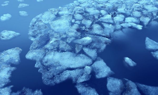 Η βιολογική βάση της κατάθλιψης - Δεν είναι μόνο συναισθηματική κατάσταση