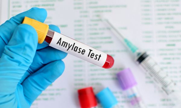 Αμυλάση: Όσα πρέπει να ξέρετε για το ένζυμο-κλειδί & τους κινδύνους από τις υψηλές/χαμηλές τιμές