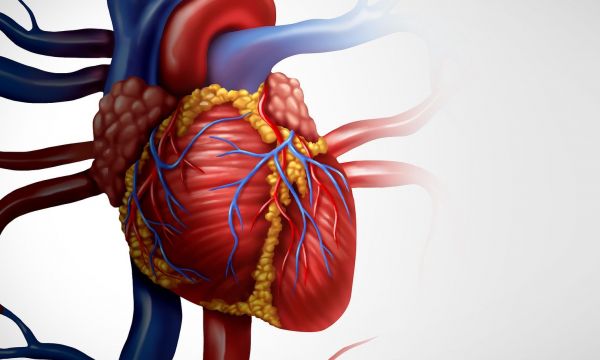 Τι είναι το καρδιονεφρομεταβολικό σύνδρομο και πόσο μειώνει το προσδόκιμο ζωής