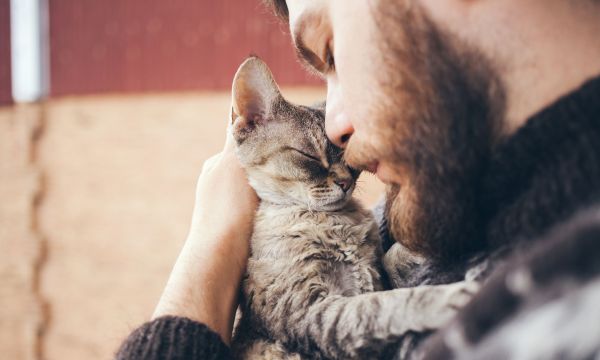 6 μαθήματα ψυχικής υγείας που μας διδάσκουν οι γάτες