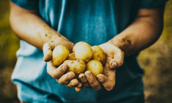 Η καλύτερη άμυνά σας κατά του μολύβδου στα τρόφιμα, σύμφωνα με τοξικολόγο