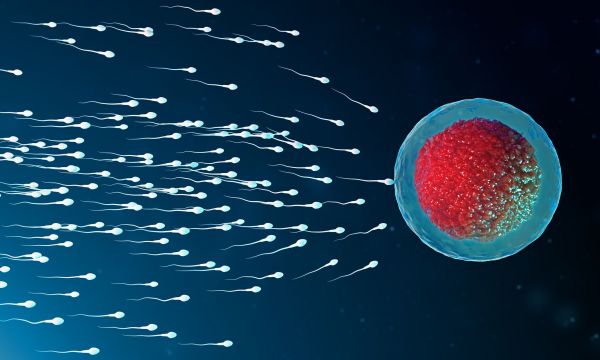 Ενίσχυση της ανδρικής γονιμότητας - Όσα πρέπει να ξέρετε για την υγεία του σπέρματος
