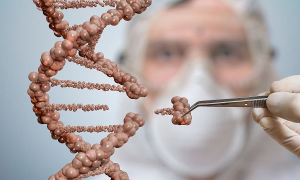 Με επέμβαση άπαξ σε ένα γονίδιο ίσως εξαφανίζουμε δια βίου την LDL χοληστερόλη