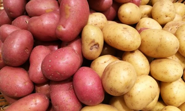 Πατάτες ή γλυκοπατάτες; Ποιες είναι καλύτερες για απώλεια βάρους, βιταμίνη Α και έντερο