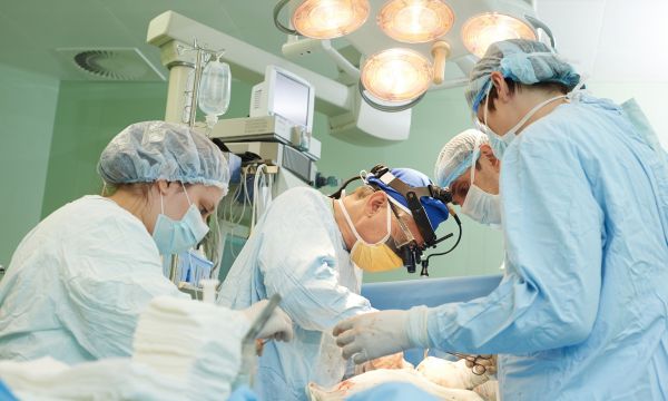 Αντέστρεψαν για πρώτη φορά στην ιστορία την απόρριψη μοσχευμάτων οργάνων από χοίρο σε άνθρωπο