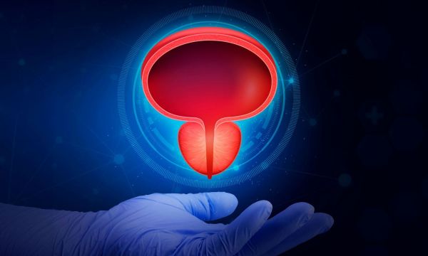 Προστάτης: Όσα πρέπει να γνωρίζουν οι άνδρες για τις παθήσεις του και την έγκαιρη διάγνωση