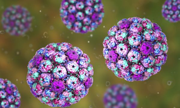 Ιός της παιδικής ηλικίας συνδέεται με καρκίνο ουροδόχου κύστης δεκαετίες αργότερα