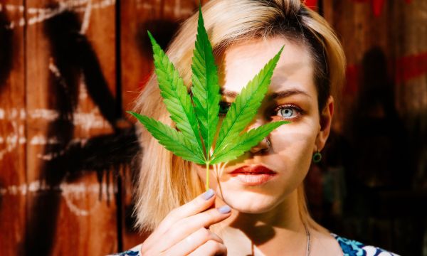 Ενώσεις κάνναβης καταπολεμούν έναν από τους πιο θανατηφόρους καρκίνους - Έρευνα