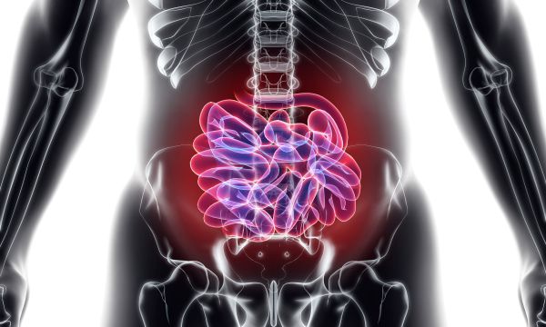 Το λεπτό έντερο έχει 6 μέτρα μήκος – Ποια η λειτουργία του και με ποιες ασθένειες συνδέεται