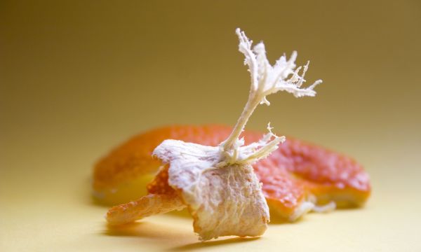 Γιατί να μην πετάτε τις λευκές σπογγώδεις ίνες όταν καθαρίζετε πορτοκάλι – Τι προσφέρουν