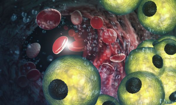 Αυτός ο ελάχιστα γνωστός τύπος λίπους μπορεί να προστατεύει την καρδιά σας