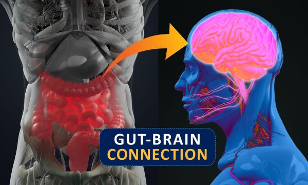 Στην οδό εντέρου-εγκεφάλου αναζητούν την πηγή του Πάρκινσον - Τι έδειξε έρευνα