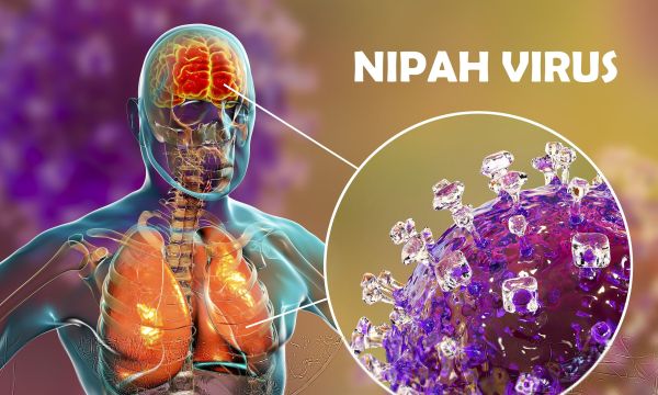 Καθησυχαστικός ο Π.Ο.Υ. για τον ιό Νίπα