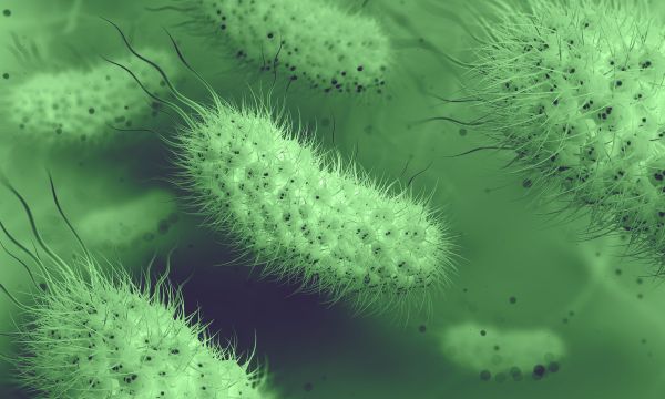 Τα βακτήρια E. Coli γίνονται βέλη στη φαρέτρα της Επιστήμης κατά καρκίνου, HIV και διαβήτη