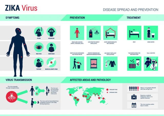 bigstock Zika Virus Infographic 116151530