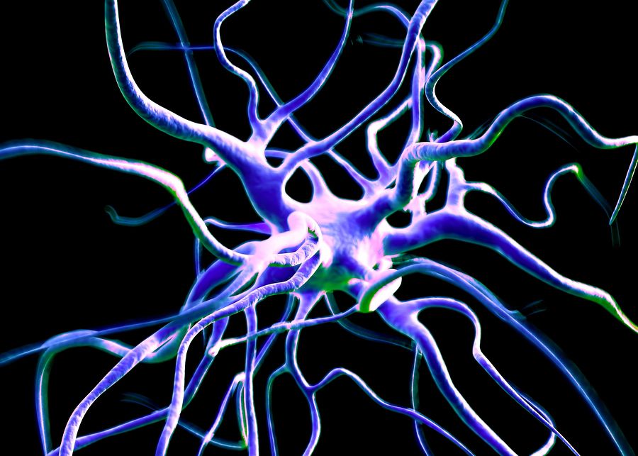 bigstock Neuron or nerve cells 94104194