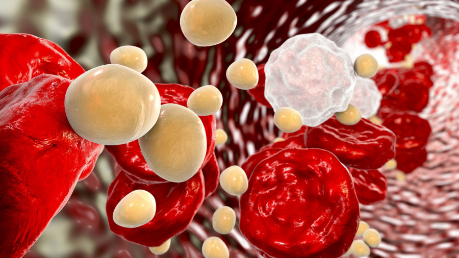 Cholesterol-Molecules-Cardiovascular-Disease