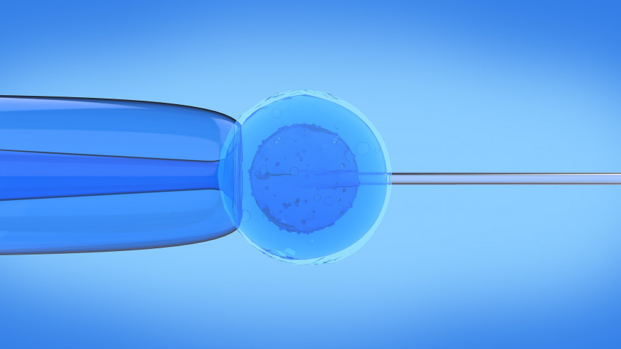 In-Vitro-Fertilization-ivf