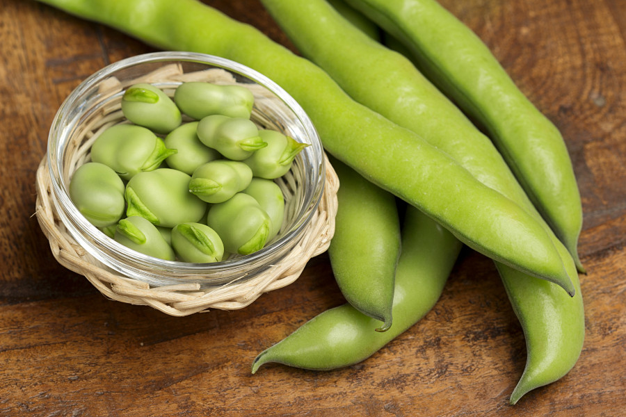 broad-beans-koukia