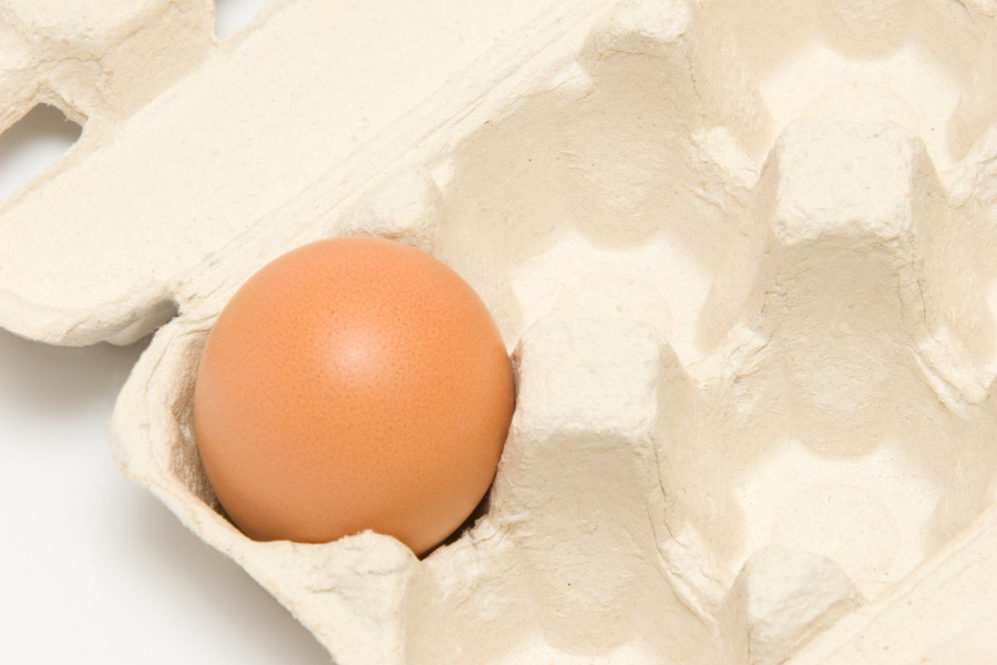 Last Egg In Packing