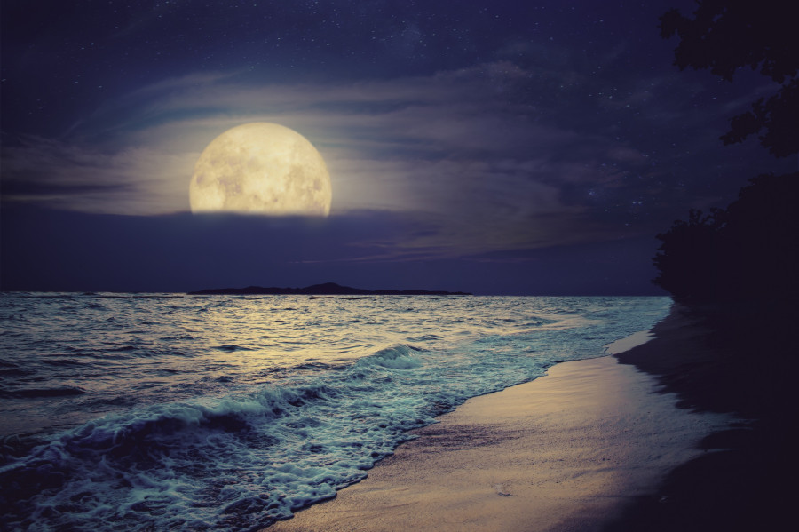Full Moon (super Moon)