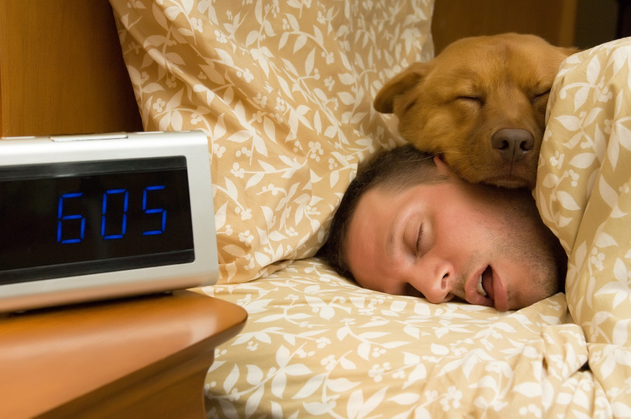 Fell Into Profound Sleep