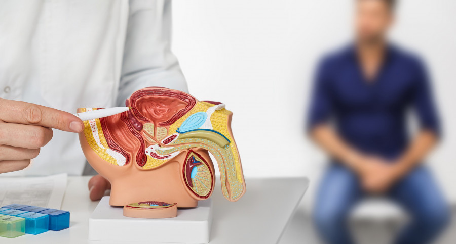 Urologist Consultation For Male Patient. Urology And Andrology,