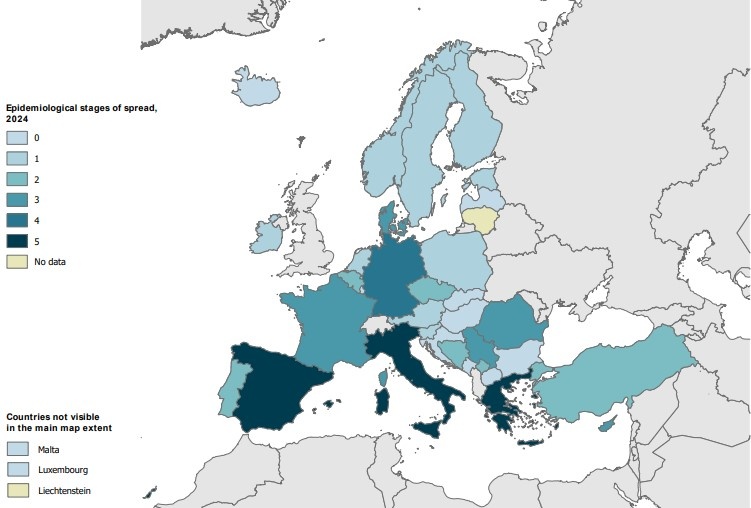 ecdc-cauris-202425.jpg