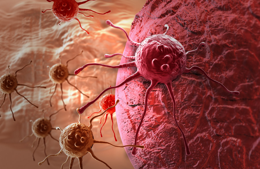 Cancer Cell