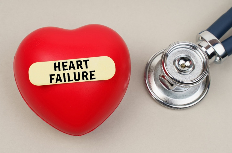 bayerheart-1.jpg