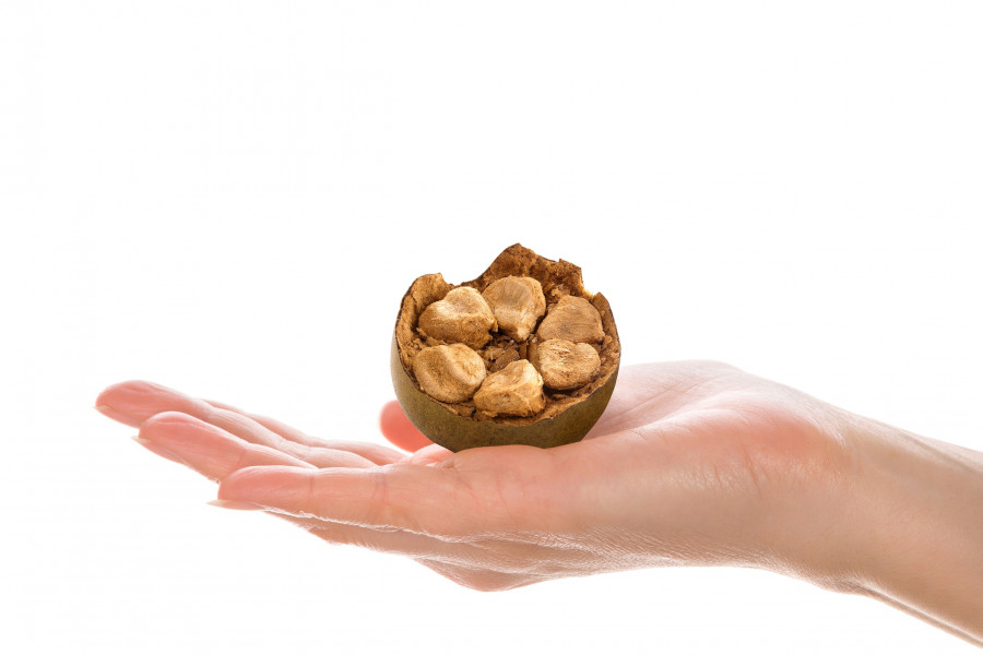 Monk Fruit