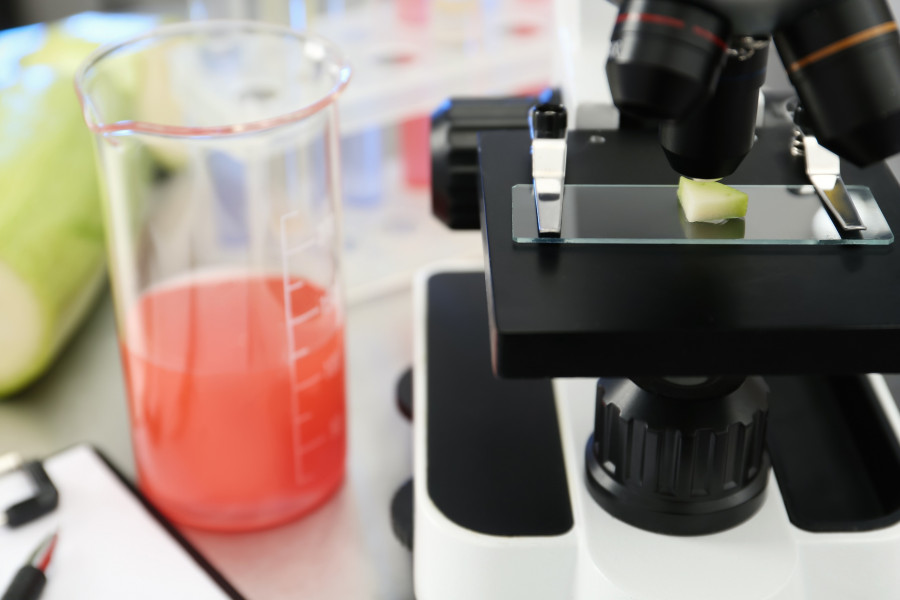 Microscope With Slice Of Zucchini In Laboratory