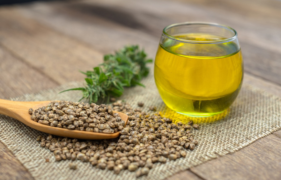 Cbd Hemp Oil hemp Seeds