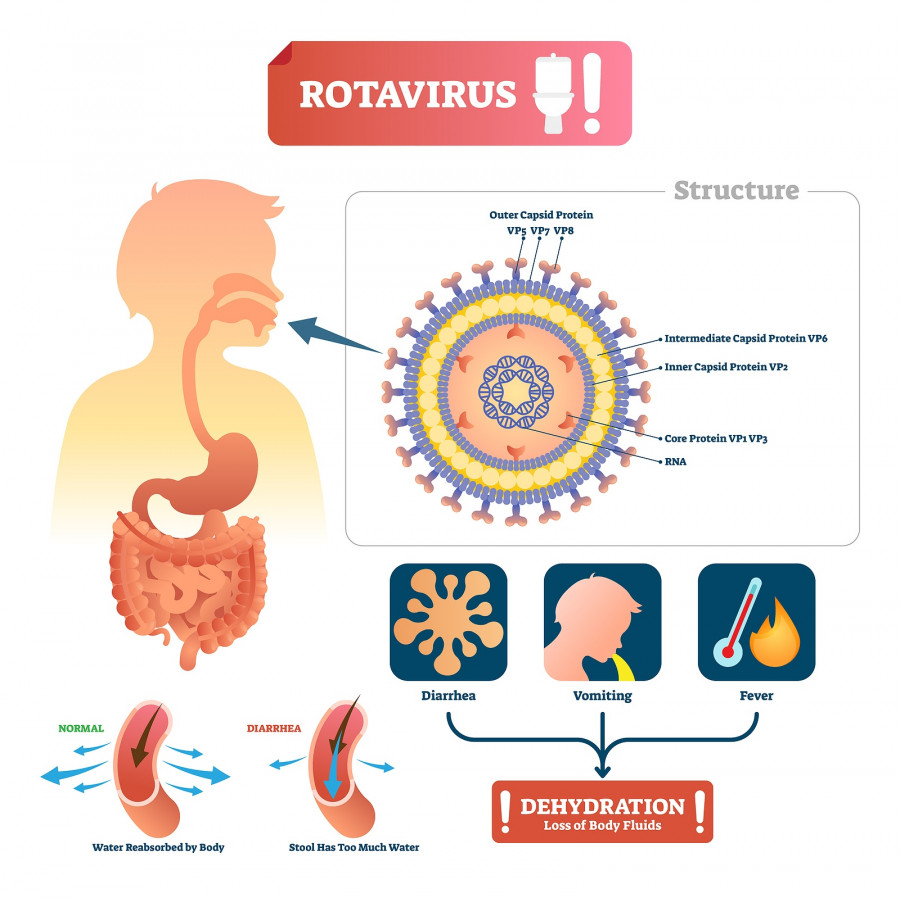 Rotavirus