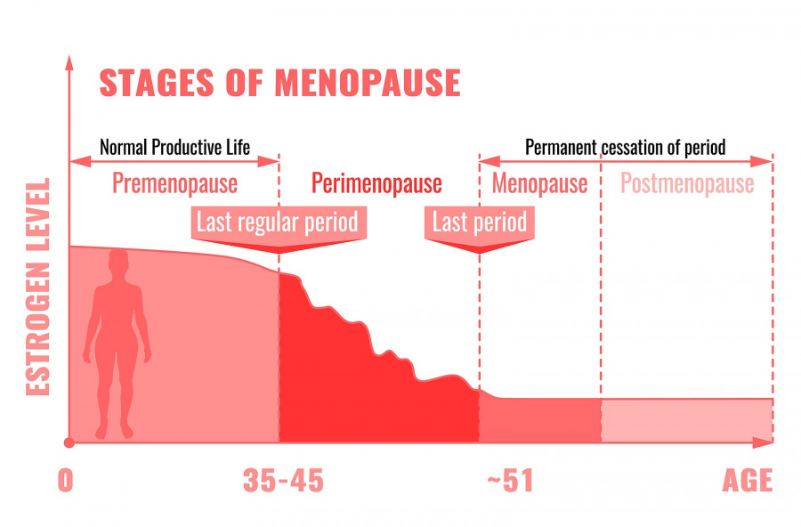 Stages And Symptoms Of Menopause
