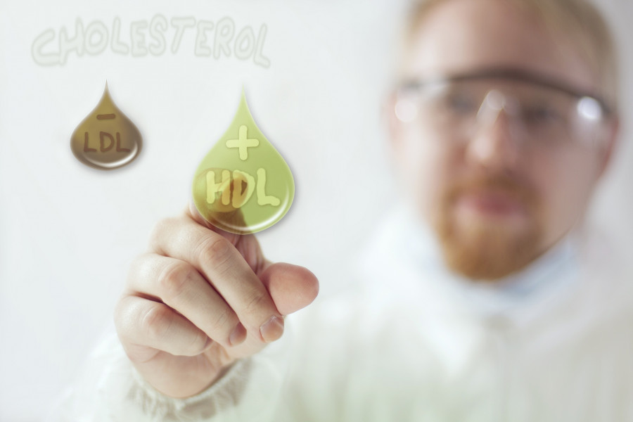 Good Cholesterol HDL and Bad LDL