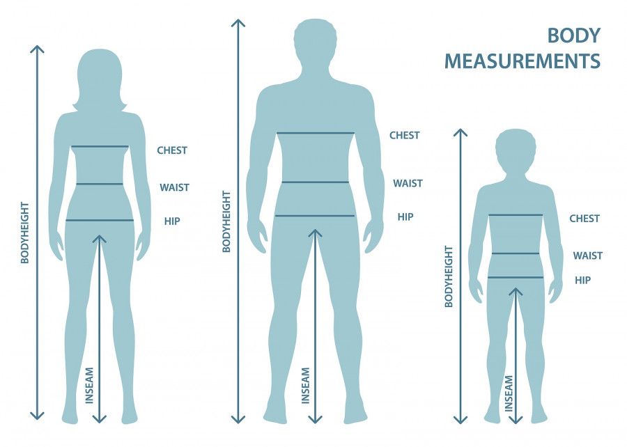 Body Measurements