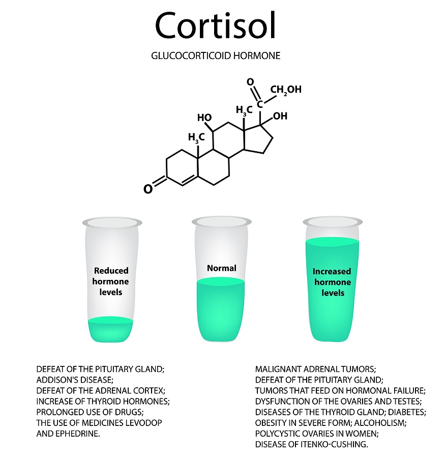 Decrease and increase of cortisol