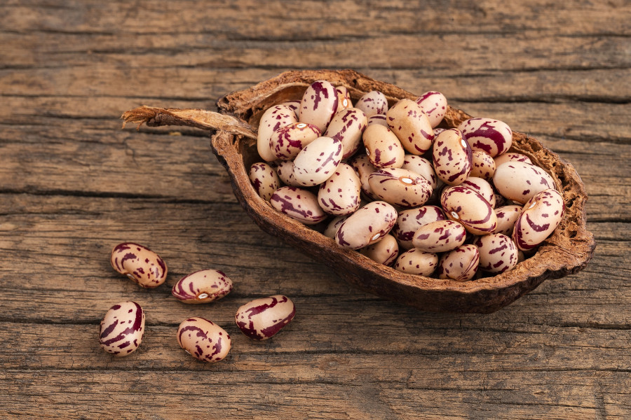 Phaseolus Vulgaris - Raw Dry Pinto Beans In Wooden Bowl